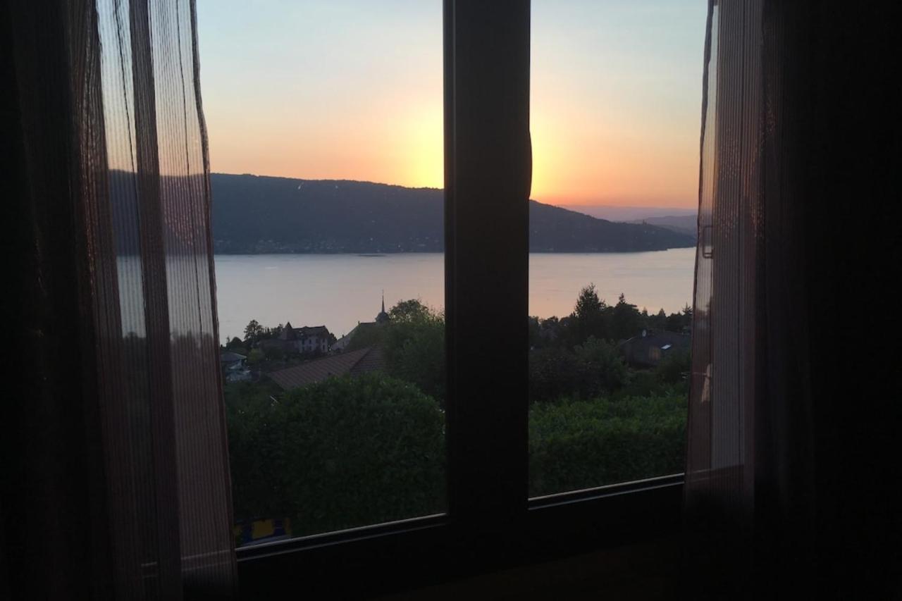 Maisonnette Vue Panoramique Lac D'Annecy Veyrier-du-Lac Εξωτερικό φωτογραφία