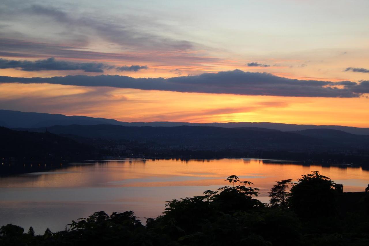 Maisonnette Vue Panoramique Lac D'Annecy Veyrier-du-Lac Εξωτερικό φωτογραφία